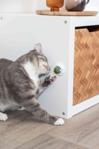 Jucarie Pentru Pisici, Minge Catnip Cu Suport, 5 cm, 42242