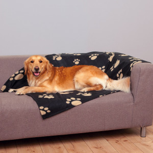 Patura Barney 150x100 cm Negru 37182
