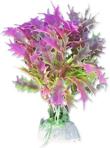 Plante artificiale, blister, 10 cm, 1B12