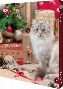 Recompense Pentru Pisici, Calendar Advent, 30 x 34 x 3.5 cm