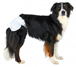 Scutece pentru Caini Femele, 12 buc, Marime S–M, Dimensiune 28-40 cm - Img 2