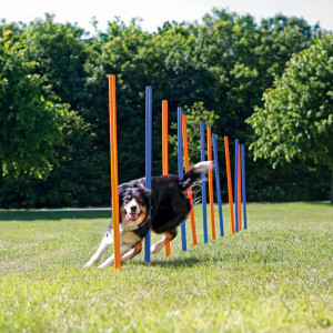 Slalom pentru Caini, Fun Agility, Plastic, 3 x 115 cm, 12 buc