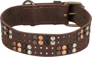 Zgarda cu Nituri Rustice, Piele, Maro Inchis, Marime M, Dimensiune 38–47 cm/40 mm - Img 2