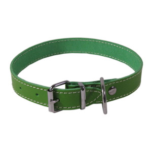 Zgarda Exo L0-L6, Simplu, Piele, Culoare Verde, Dimensiune 2.5/53 cm