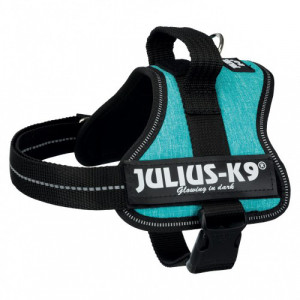Ham Julius-K9 XS: 40-53 cm/22 mm, Ocean, 150112