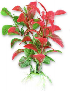 Planta Artificiala Pentru Acvariu, 10 cm, Verde/Rosu
