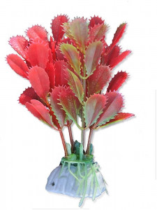Plante artificiale, blister, 10 cm, 1B10