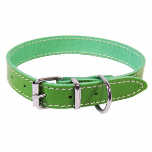 Zgarda Exo L0-L6, Simplu, Piele, Culoare Verde, Dimensiune 2.0/45 cm