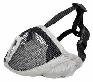 BotniÈ›Äƒ pentru CÃ¢ini cu Bot Scurt (Turtit), S-M: Gri 40 cm, 17627 - Img 1