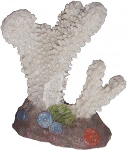 Decor pentru Acvariu, Coral, 8 x 5 x 10 cm