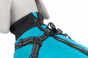 Hainuta Cu Ham Pontis, Culoare Albastru, Marime XS, Dimensiune 27 cm - Img 6