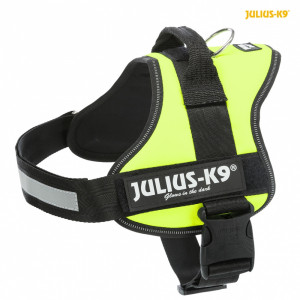 Ham Julius-K9, M: 58-76 cm/40 mm, Neon, 150307