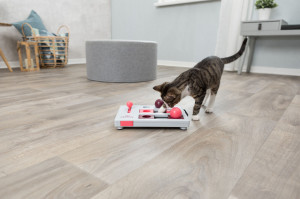 Jucarie Cat Activity, Brain Mover, 25 x 20 cm - Img 9