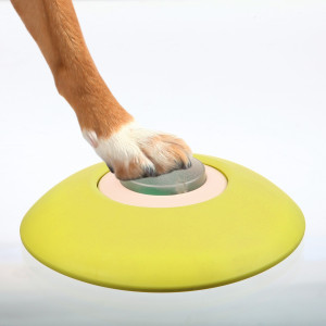 Jucarie Dog Activity, Memory Trainer 3.0, 20 x 24 cm - Img 4