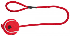 Jucarie Pentru Caini, Minge Tenis Pe Sfoara, 6/50 cm, Lime