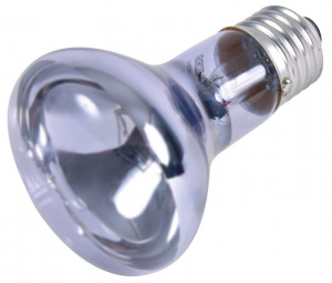 Lampa Spot pentru Reptile 63x100 mm 50W 76006 - Img 2