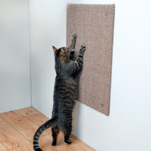 Placa de Zgariat XXL pentru Montare Pe Perete, 50 x 70 cm, Taupe