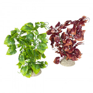 Planta Artificiala Anubias Nana L 25 cm Diverse Culori