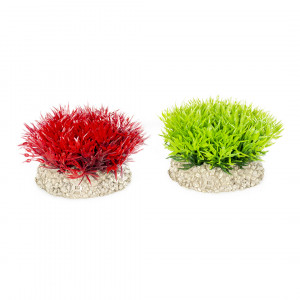 Planta Artificiala Muschi Crystalwort S 5 cm Diverse Culori