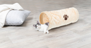 Tunel Crunch Plus 22x60 Bej 42981 - Img 3