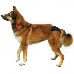 Chiloti de Protectie pentru Caini Femele, Marime S, Dimensiune 24-31 cm - Img 2