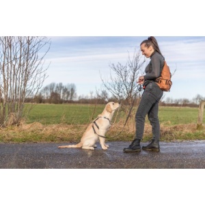 Geanta De Sold/Rucsac Pentru Accesorii, Rolltop, 22x7/3x24/32,5 cm, Ruginiu, 28867 - Img 3