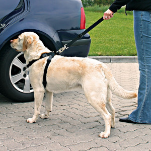 Ham si Centura Auto pentru Caini, Negru, Marime L, Dimensiune 70–90 cm/25 mm - Img 4