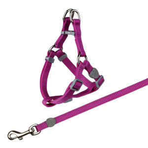 Ham Si Lesa Pentru Pisici, One Touch, 26-37 cm/10 mm, 1.20 m, Diverse Culori - Img 2