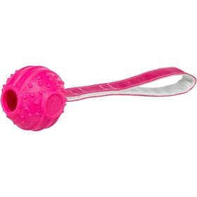 Jucarie Pentru Caini, Minge cu Franghie, TPR, 27 cm, Roz
