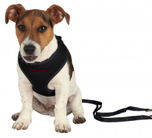 Set Lesa si Ham 26-34 cm/2 m/10 mm Negru 15561 - Img 2