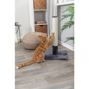 Sisal Plat cu Stalp, 38 x 38 x 62 cm, Gri, 43361 - Img 2