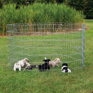 Tarc Kennel Metal 91x61 cm 3954