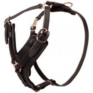 Ham Exo L1-L7, Piele, Culoare Negru, Dimensiune 74-92 cm/25 mm