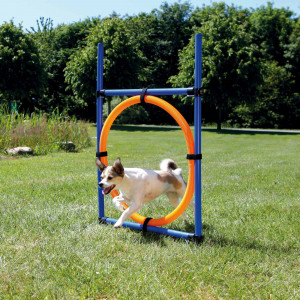 Inel pentru Caini, Fun Agility, Plastic, 115 x 3 cm, 65 cm - Img 2
