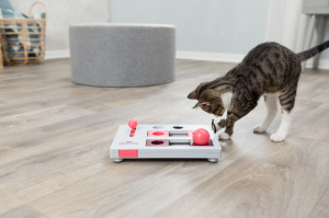 Jucarie Cat Activity, Brain Mover, 25 x 20 cm - Img 10
