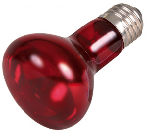 Lampa De Caldura Cu Infrarosu Pentru Terariu, 35W, Rosu - Img 2