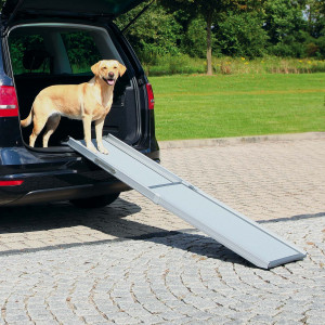 Rampa Telescopica 2- Step, Auto, Aluminiu, 43 x 100-180 cm, Pana la 120 kg - Img 2