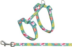 Set Ham si Lesa pentru Pisici, 27-45 cm/10 mm, 1.20 m, Diverse Culori