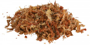Substrat Tropical Pentru Terariu,100 g - Img 2