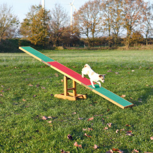 Balansoar pentru Caini, Fun Agility, 300 x 54 x 34 cm, Pana la 80 kg