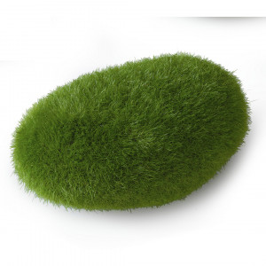 Decor Minge din Muschi, M: 10 x 6.5 x 5 cm