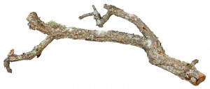 Decor Reptile Tronchos, Diferite Marimi, 76409