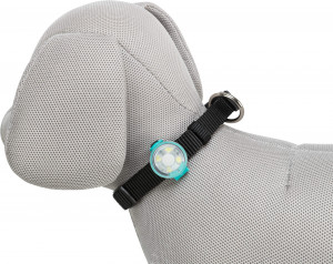 Flasher USB pentru Zgarda Cainilor, 3 x 8 cm, Diverse Culori - Img 3