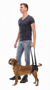 Ham de Reabilitare, Negru, Marime M, Dimensiune 55 - 65 cm/Pana la 25 kg - Img 2