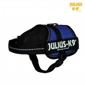 Ham Julius-K9 Mini, Culoare Albastru, Marime 2XS, Dimensiune 33–45 cm/18 mm