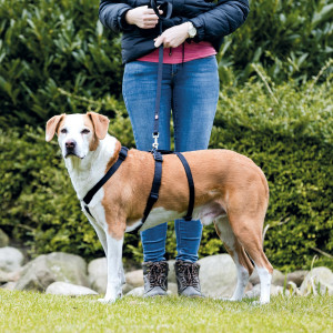 Ham-Sistem de Prindere In 3 Puncte M-L 50-75 cm/20 cm 13093 - Img 2