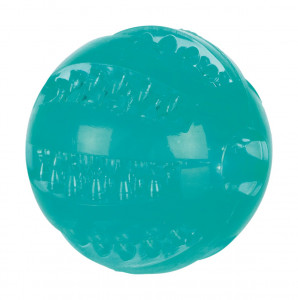 Jucarie Pentru Caini, Denta Fun, Minge, Aroma Menta, TPR, 6 cm