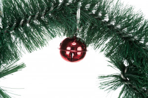 Arc Xmas, Pentru Masaj/Joaca/Ingrijirea Blanii, 44 x 42 cm - Img 3