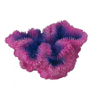 Decor Coral Symphylia Violet 12 x 5 x 12 cm