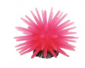 Decor pentru Acvariu, Coral, 5 x 5 x 4 cm